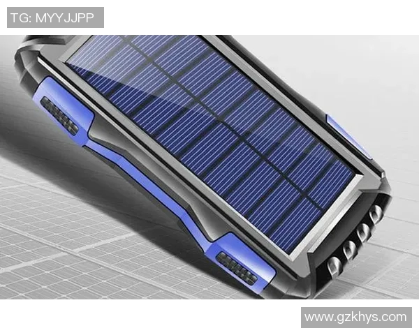 天猫与太阳的市场竞争分析及未来发展趋势探讨